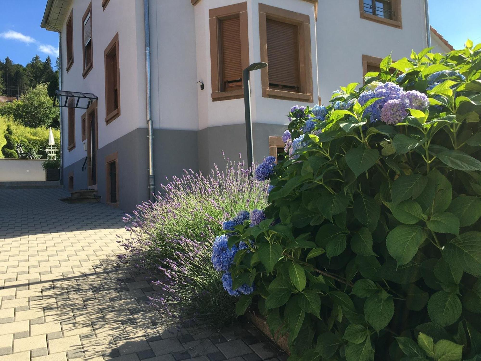 Апартаменти Les Magnolias En Alsace - Meuble De Tourisme 3 Etoiles Barembach Екстер'єр фото
